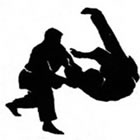 Hapkido em Caxias do Sul